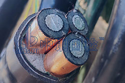 電纜常規五項檢測項目都是哪些內容（內附正規電纜檢測報告）